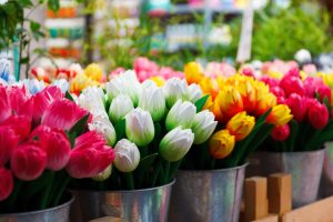 des fleurs dans des vases